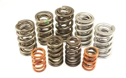Isky Racing 235D Valve Springs 1.260 OD